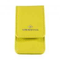 Windrose Aurora Taschenmanicure Lime