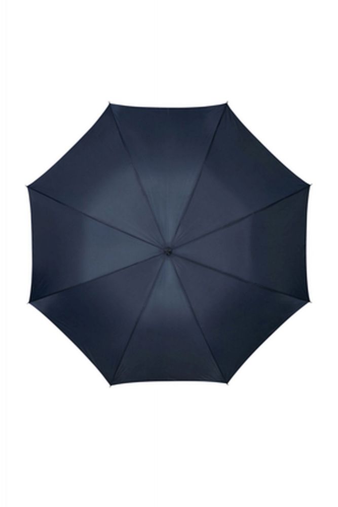 Samsonite Rain Pro Stick Umbrella Blue #2